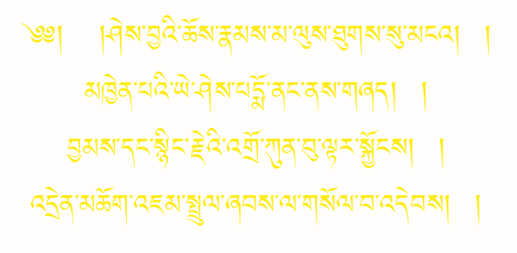 SOLDEB JAMTRUL RINPOCHE